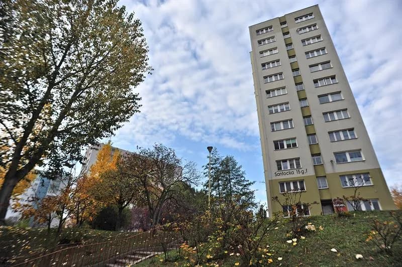 Ile zarabia prezes małej spółdzielni mieszkaniowej? Zaskakujące fakty!